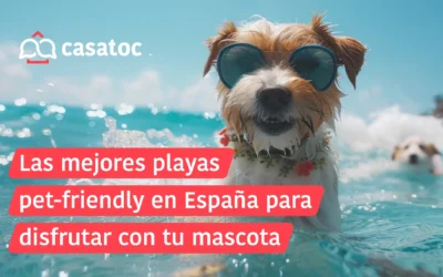 Las mejores playas pet-friendly en España para disfrutar con tu mascota
