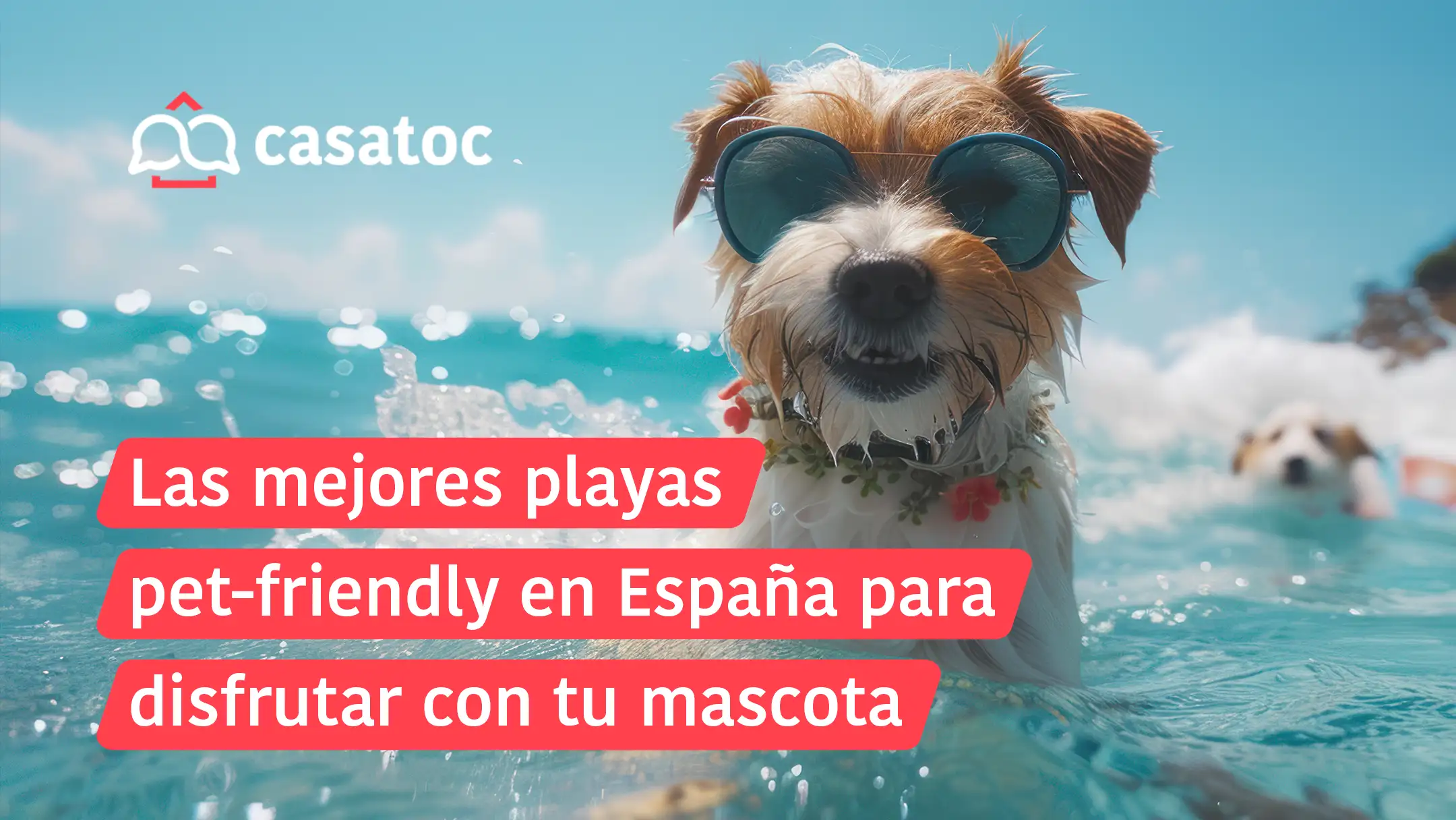 Las mejores playas pet-friendly en España para disfrutar con tu mascota